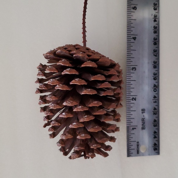 8 Extra Large Natural Pinecones - Picture 4 of 5